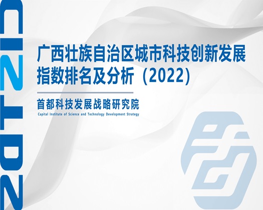 挺进的肉泬m48wX【成果发布】广西壮族自治区城市科技创新发展指数排名及分析（2022）